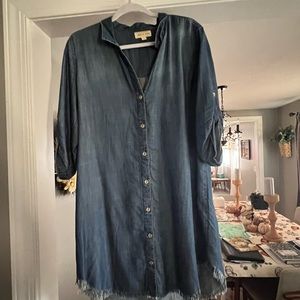 Cloth & Stone denim dress, size M.